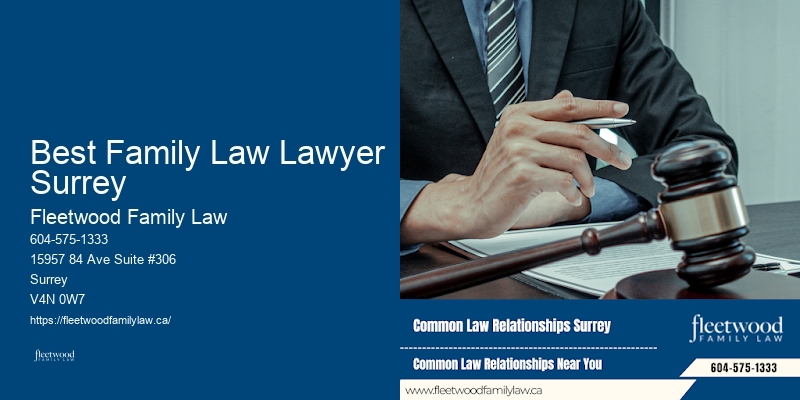 Best Family Law Lawyer Surrey Family Legal Advice