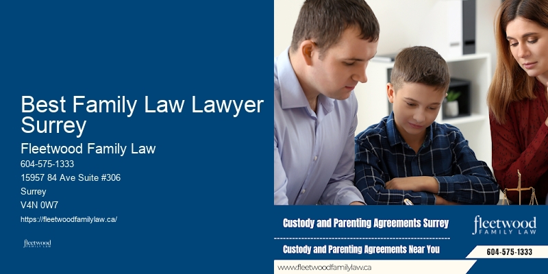 Family Mediation Best Family Law Lawyer Surrey BC