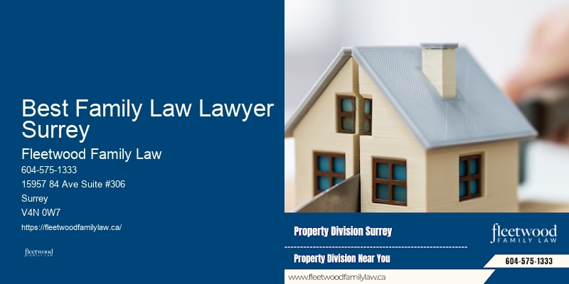 Domestic Violence Legal Services Best Family Law Lawyer Surrey