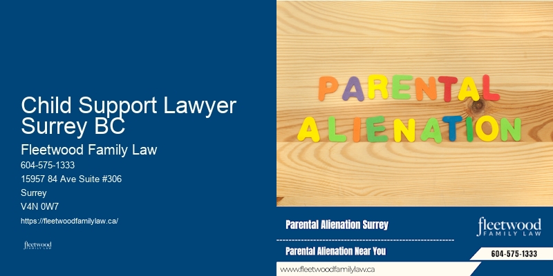 Child Support Lawyer Surrey BC Family Law Attorney