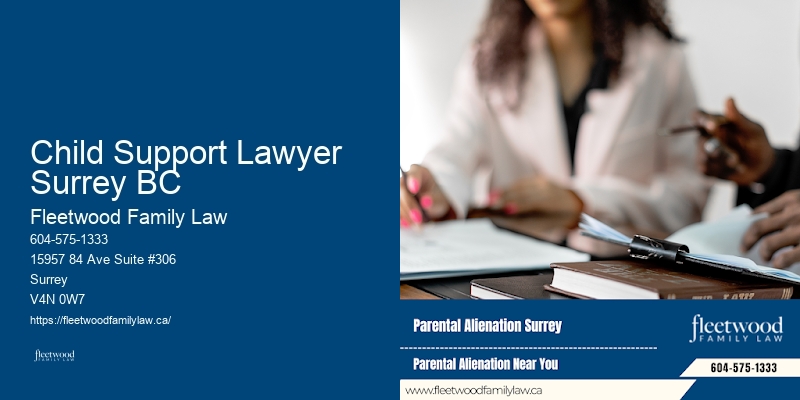 Top Divorce Lawyer Child Support Lawyer Surrey BC BC