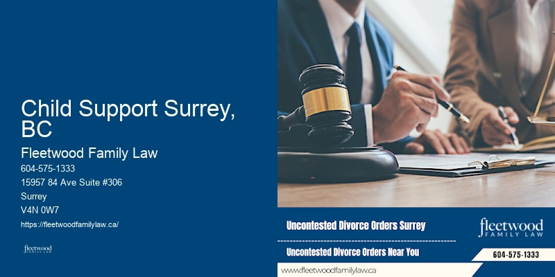Child Support Surrey, BC Family Law and Property Division