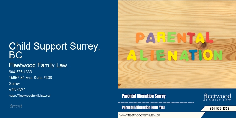 Experienced Divorce Attorney Child Support Surrey, BC BC