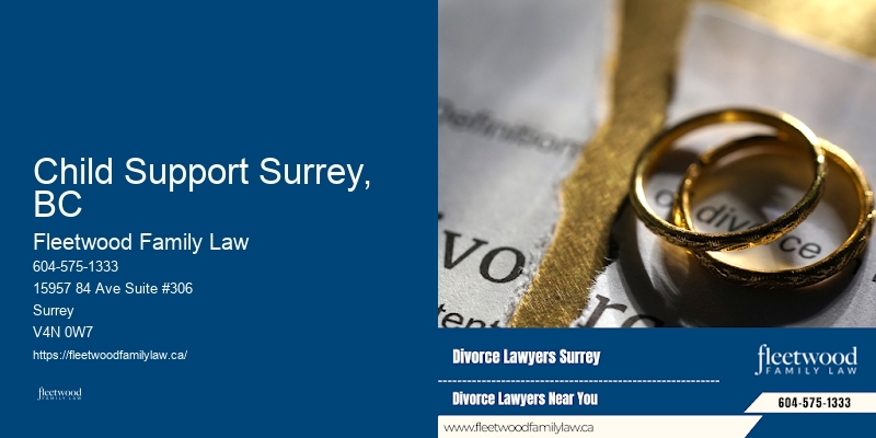 Top Guardianship Lawyer Child Support Surrey, BC