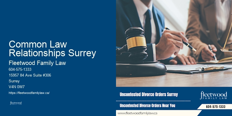 Common Law Relationships Surrey BC Child Custody Lawyer Consultation