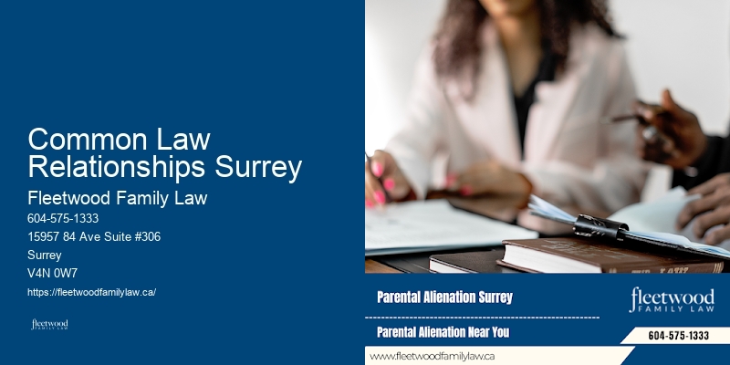 Child Custody Attorney Common Law Relationships Surrey BC