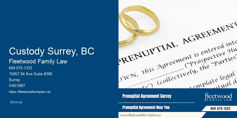 Family Law Consultation Custody Surrey, BC, BC