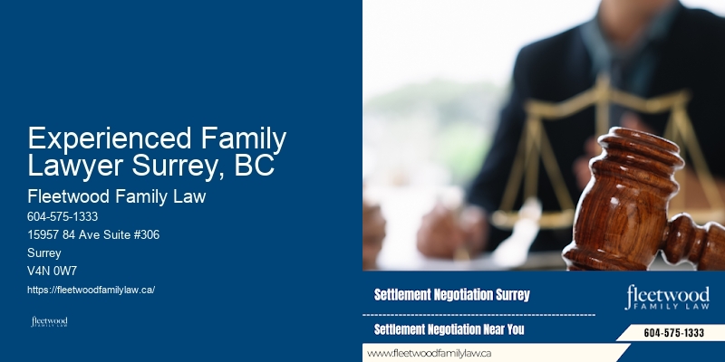 Experienced Family Lawyer Surrey, BC BC Family Law Mediation Expert