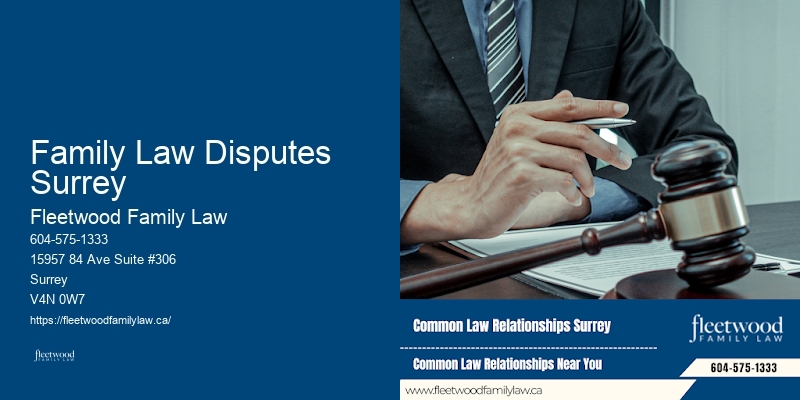 Family Law Disputes Surrey Custody Mediation Lawyer