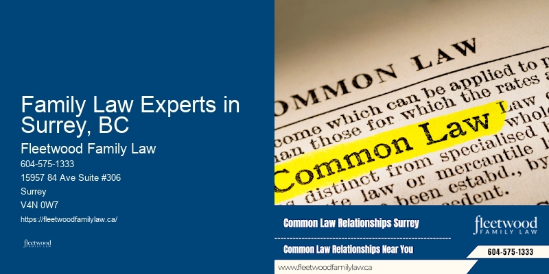 Family Law Experts in Surrey, BC Divorce Settlement Lawyer