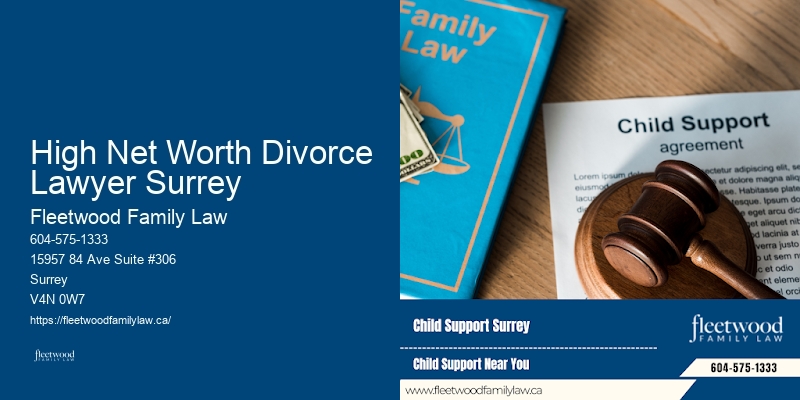 High Net Worth Divorce Lawyer Surrey BC Family Law Experts