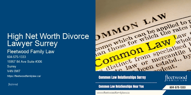 Family Law Attorney High Net Worth Divorce Lawyer Surrey BC Free Consultation
