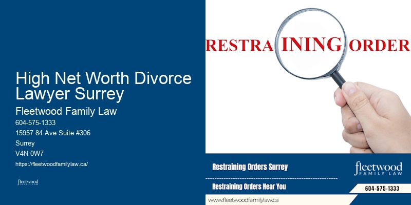 Guardianship Dispute Lawyer High Net Worth Divorce Lawyer Surrey BC