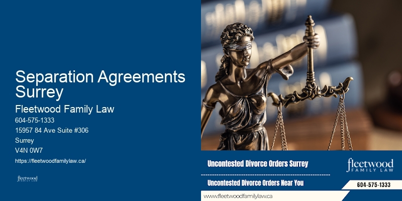 Best Child Custody Lawyer in Separation Agreements Surrey