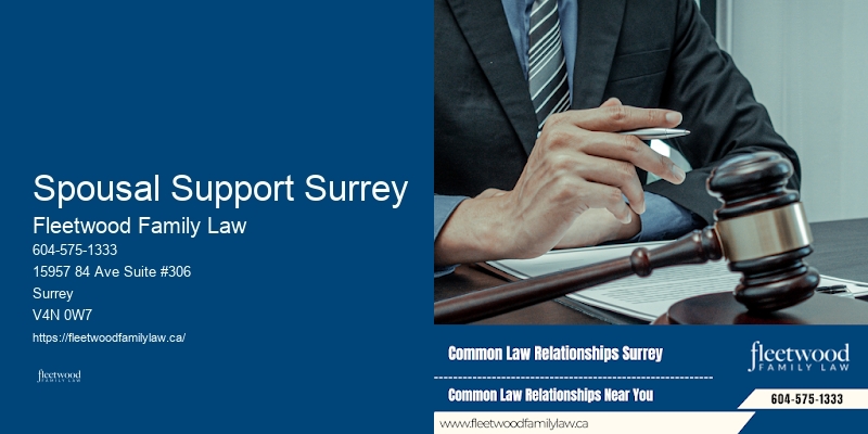 Child Support Lawyer Spousal Support Surrey BC