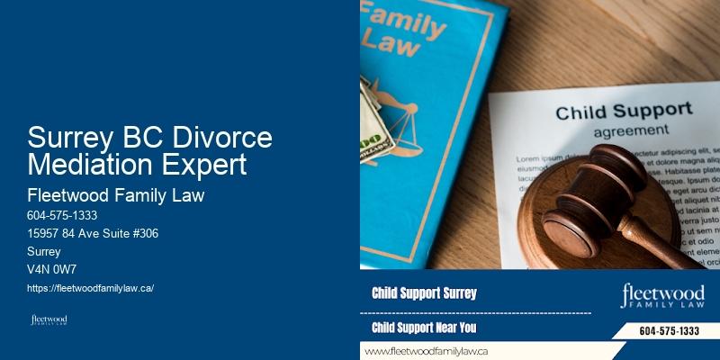 Best Family Law Attorney Surrey BC Divorce Mediation Expert
