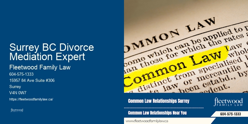Child Support Lawyer Near Me Surrey BC Divorce Mediation Expert