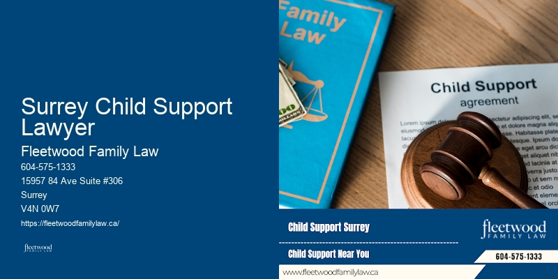 Surrey Child Support Lawyer BC Divorce Attorney