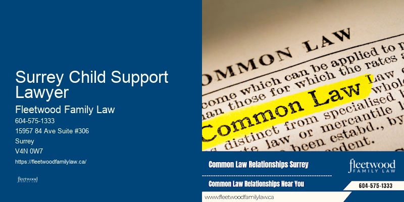 Surrey Child Support Lawyer Family Court Lawyer