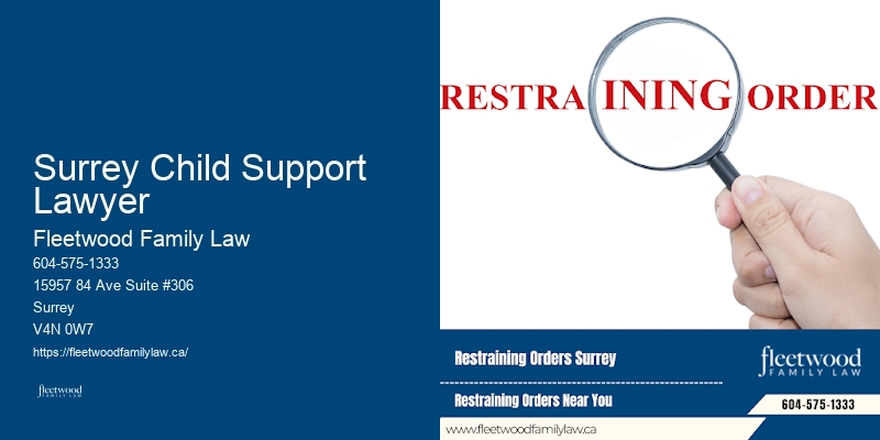 Surrey Child Support Lawyer Family Law Consultation Services