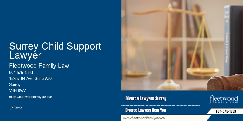 Surrey Child Support Lawyer