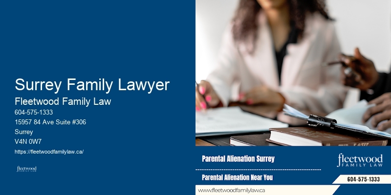 Spousal Maintenance Lawyer Surrey Family Lawyer BC