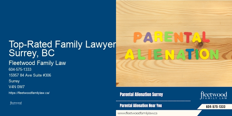 Top-Rated Family Lawyer Surrey, BC Child Support Attorney