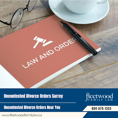 Parenting Plan Family Law Services Surrey Lawyer