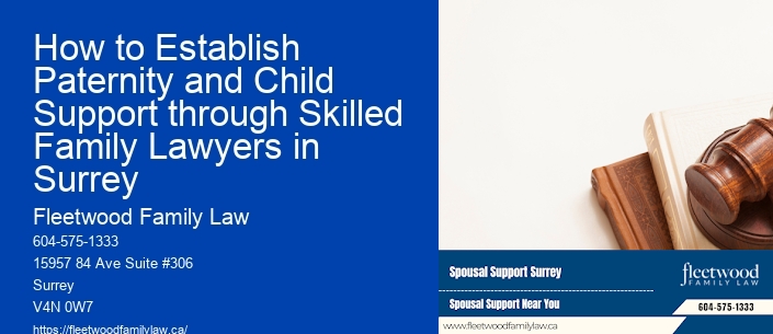How to Establish Paternity and Child Support through Skilled Family Lawyers in Surrey