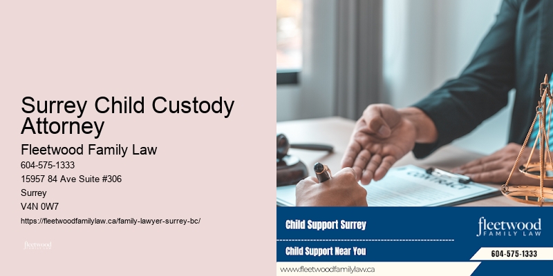 Surrey Child Custody Attorney