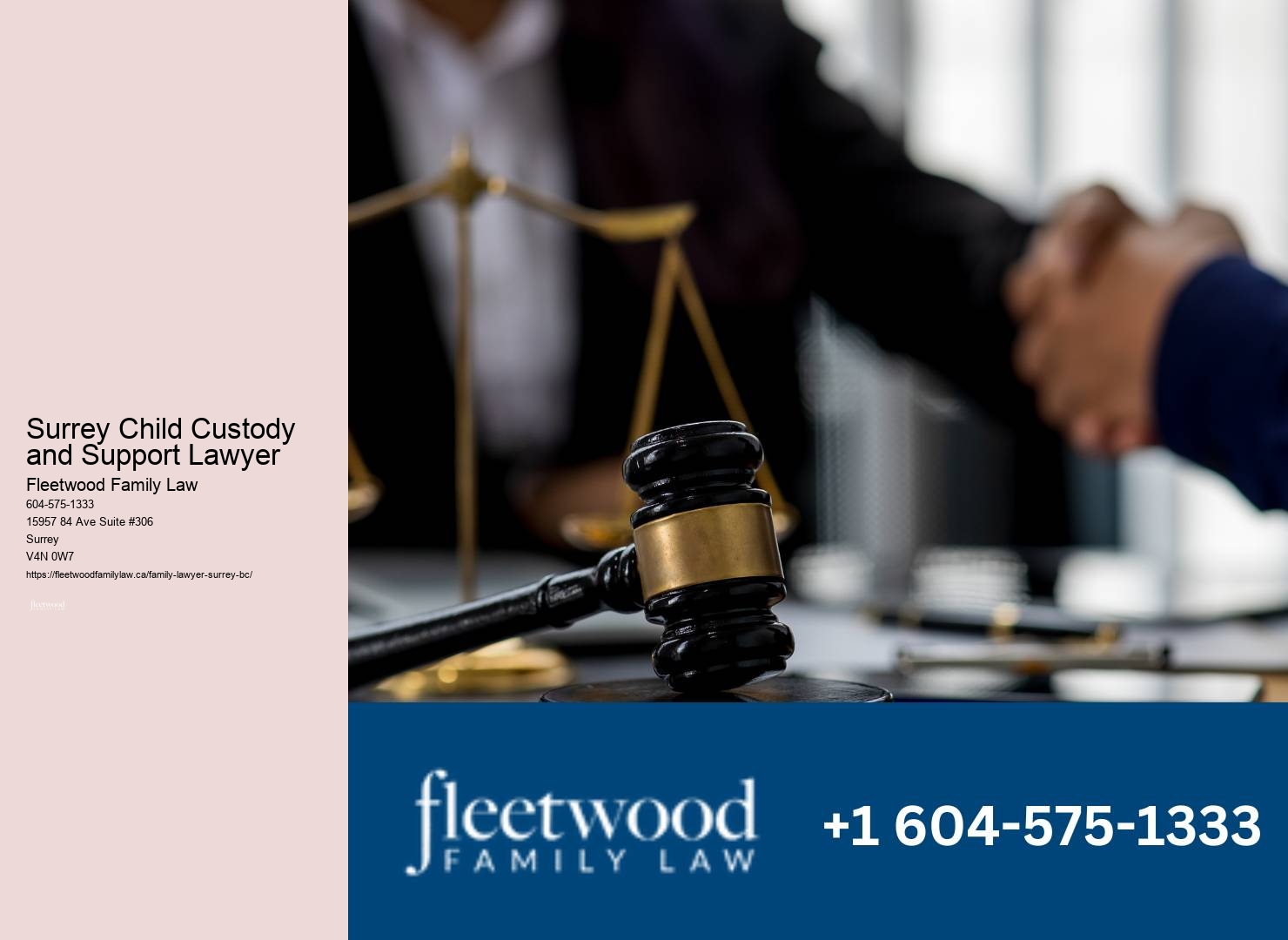 Surrey Child Custody and Support Lawyer Cohabitation Agreements Lawyer