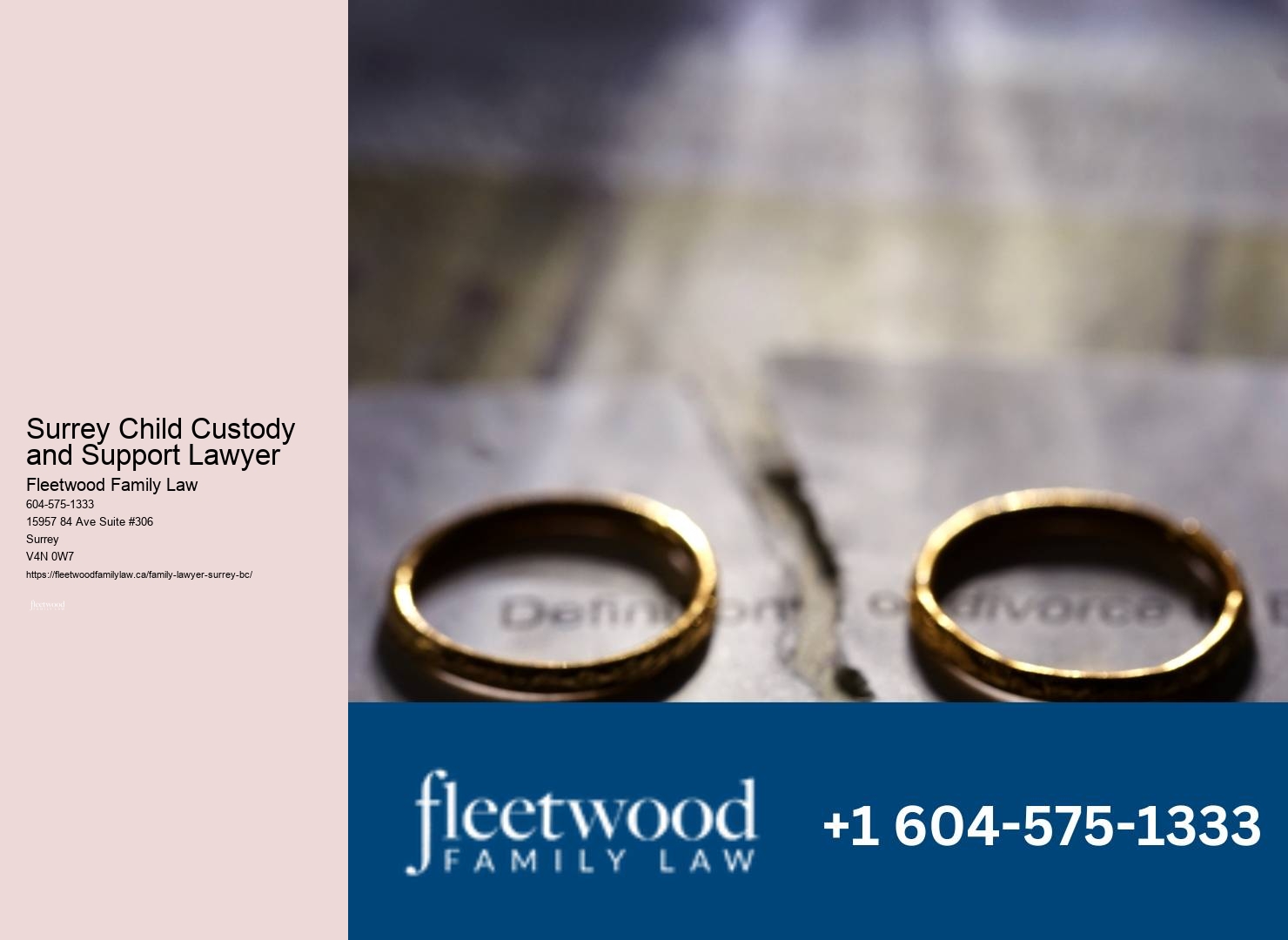 Top Surrey Child Custody and Support Lawyer Family Law Firm Services