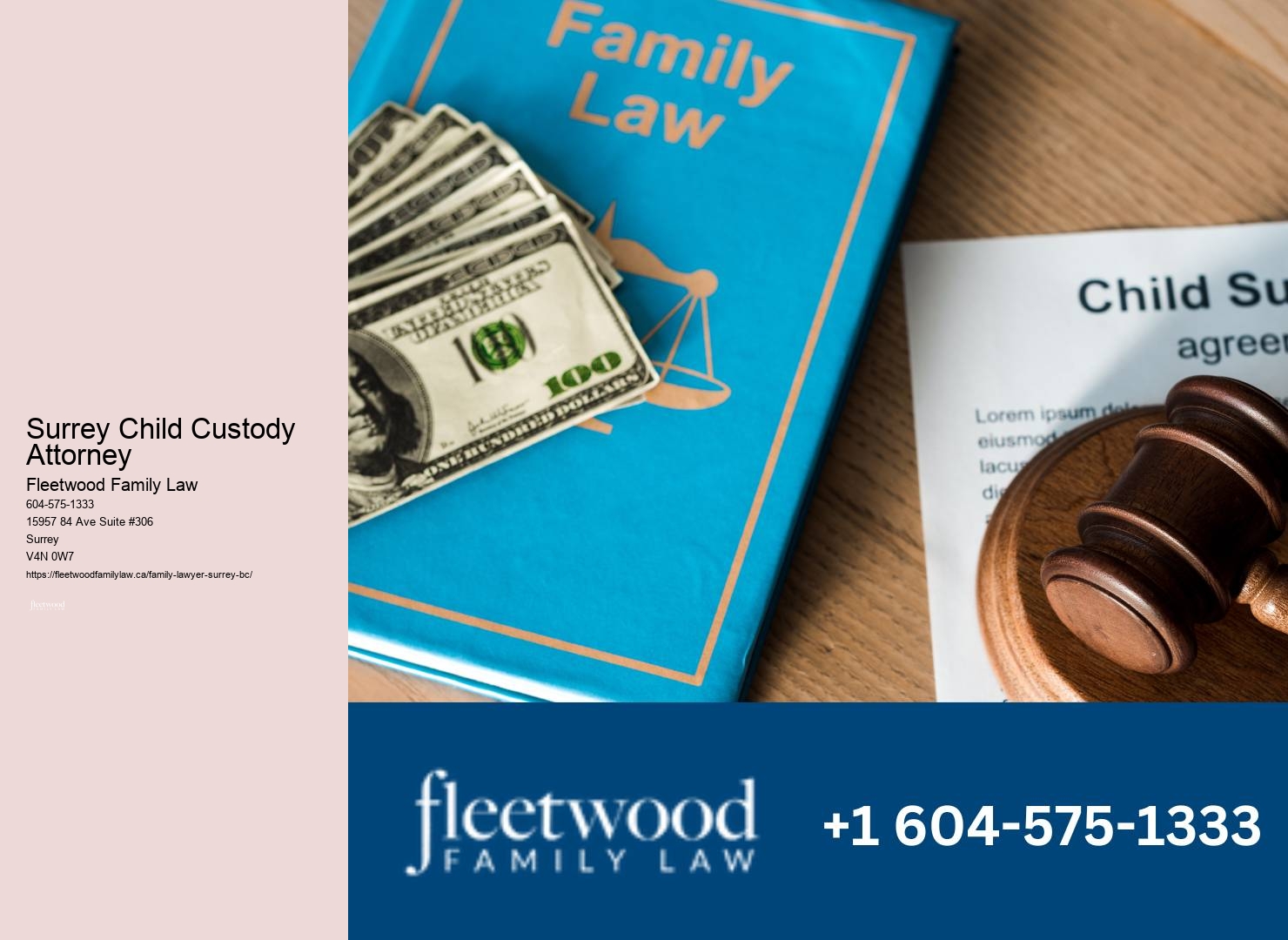 Surrey Child Custody Attorney Child Custody Resolution