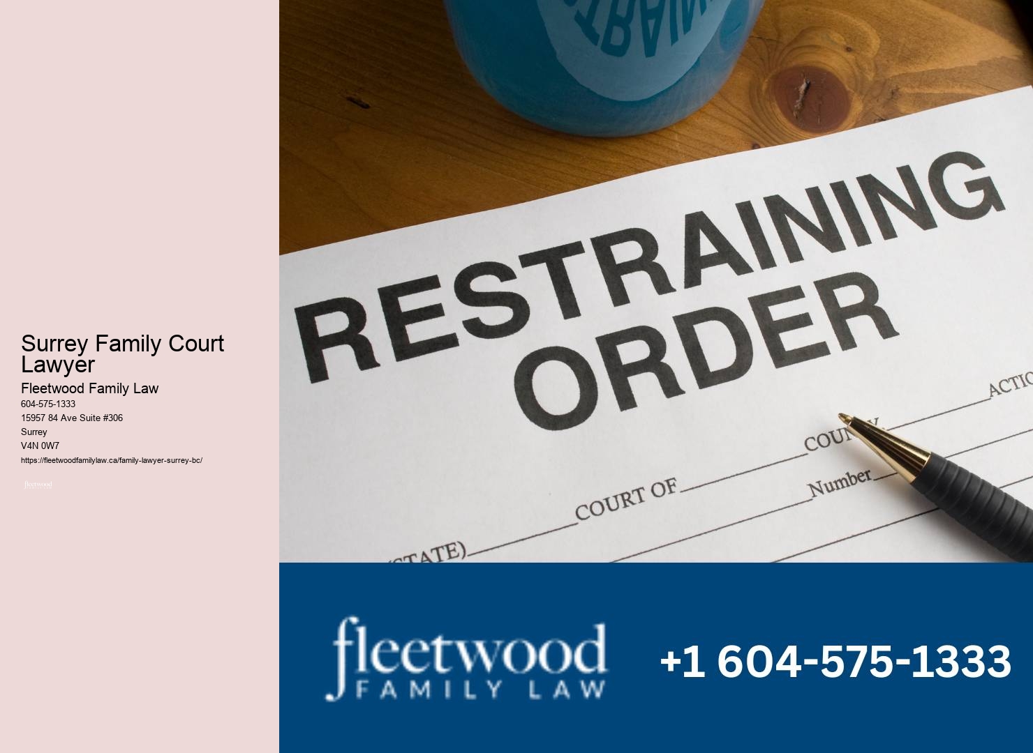 Affordable Surrey Family Court Lawyer Family Lawyer