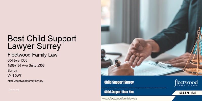Best Child Support Lawyer Surrey