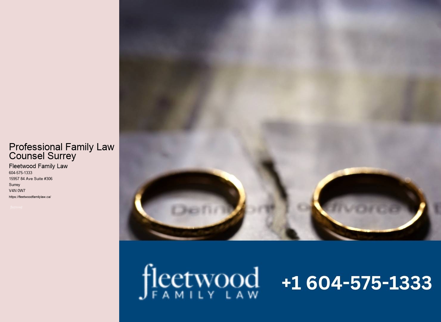 Professional Family Law Counsel Surrey Child Custody Lawyer Testimonials