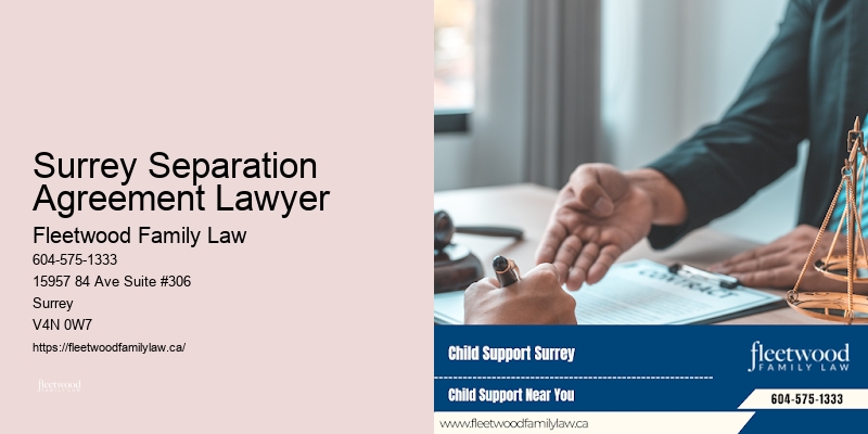 Surrey Separation Agreement Lawyer