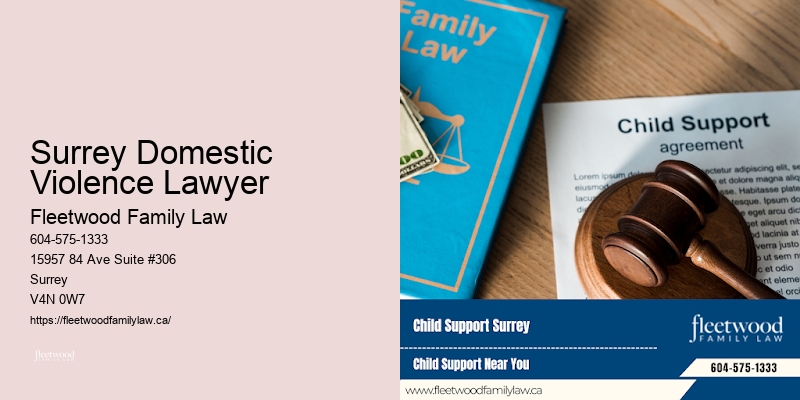 Surrey Domestic Violence Lawyer