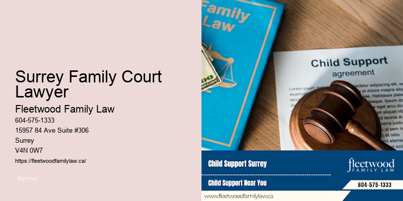 Surrey Family Court Lawyer