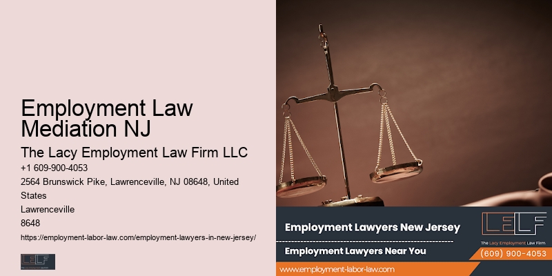 Employment Law Mediation NJ Employment Lawyer For Professionals