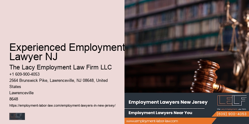 Employment Law Litigation Experienced Employment Lawyer NJ