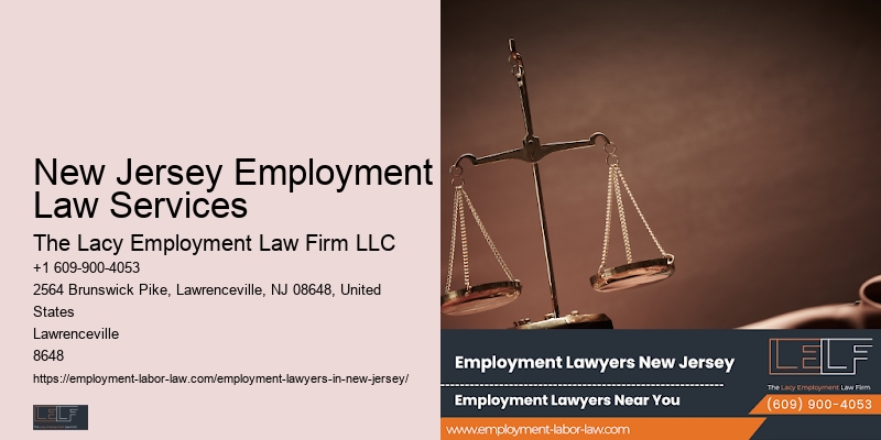 Employment Litigation Lawyer NJ