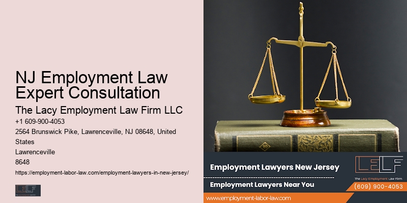 NJ Employment Law Expert Consultation Workplace Rights Advocate