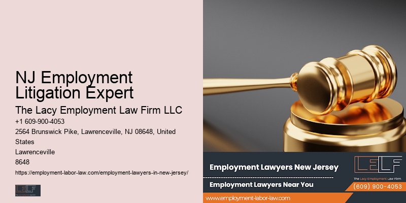 NJ Employment Litigation Expert