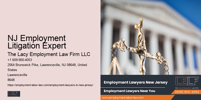 NJ Public Sector Employment Lawyer
