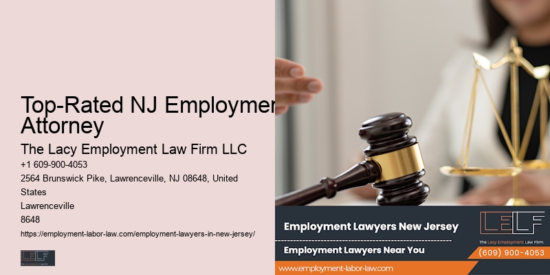 NJ Employment Rights Consultant