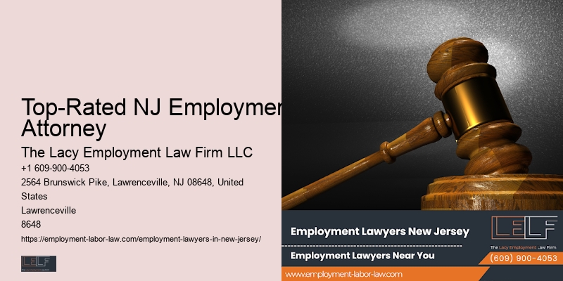 Employment Litigation Lawyer NJ