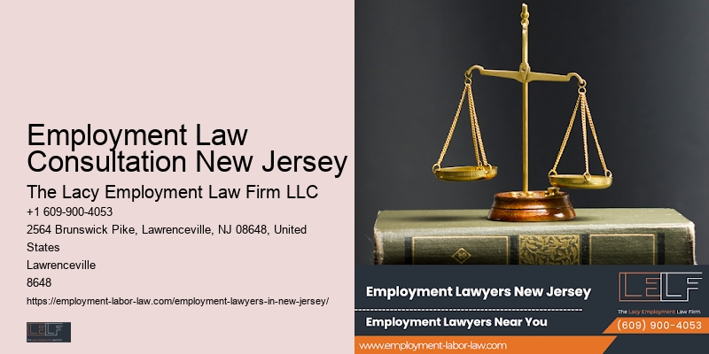 Top rated employment lawyers in Employment Law Consultation New Jersey