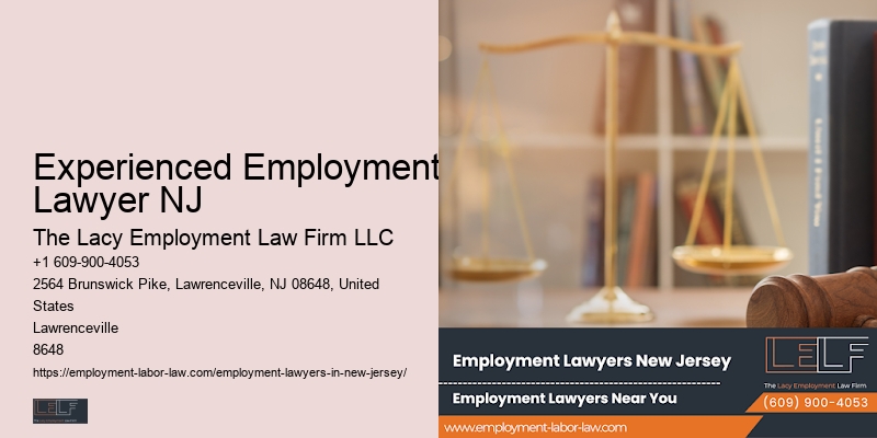 Experienced Employment Lawyer NJ Employment Mediation Attorney
