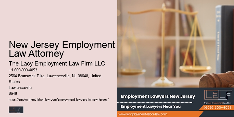 Employment Lawyer Consultation New Jersey Employment Law Attorney
